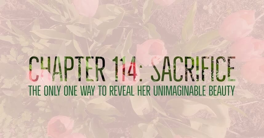 CHAPTER 114: SHE REVEALS HERSELF THROUGH SACRIFICE